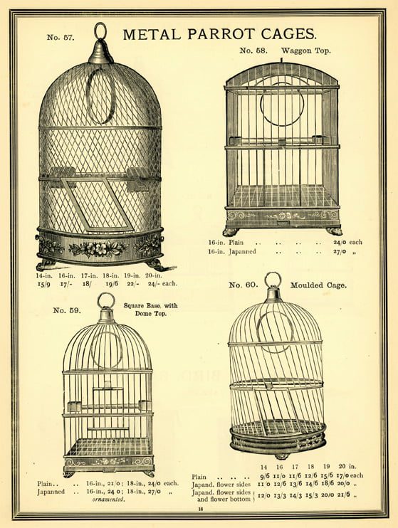 woven wire parrot cages